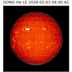 gong - 2026-02-03T04:00:42