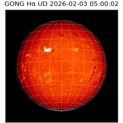 gong - 2026-02-03T05:00:02