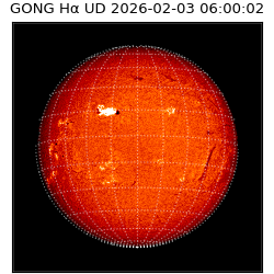 gong - 2026-02-03T06:00:02