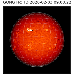 gong - 2026-02-03T09:00:22
