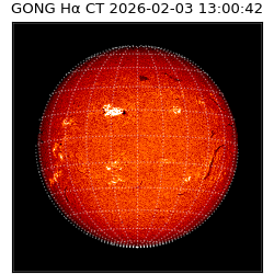 gong - 2026-02-03T13:00:42