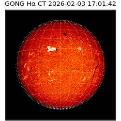 gong - 2026-02-03T17:01:42