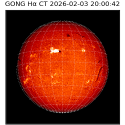 gong - 2026-02-03T20:00:42