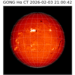 gong - 2026-02-03T21:00:42