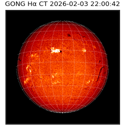 gong - 2026-02-03T22:00:42