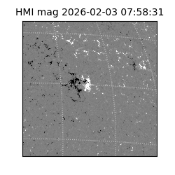 shmi - 2026-02-03T07:58:31