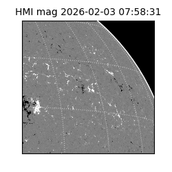 shmi - 2026-02-03T07:58:31