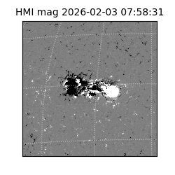 shmi - 2026-02-03T07:58:31