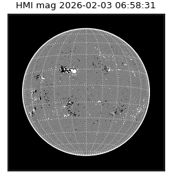 shmi - 2026-02-03T06:58:31