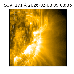 suvi - 2026-02-03T09:03:36.517000