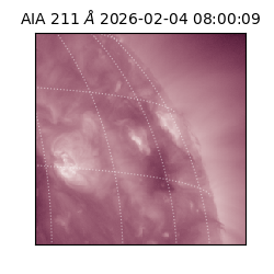 saia - 2026-02-04T08:00:09.626000