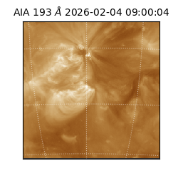 saia - 2026-02-04T09:00:04.843000
