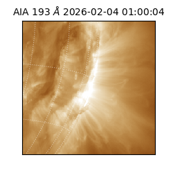 saia - 2026-02-04T01:00:04.843000