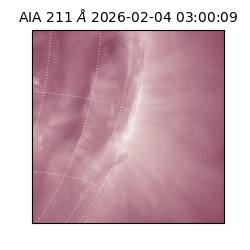 saia - 2026-02-04T03:00:09.632000