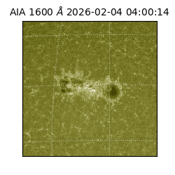 saia - 2026-02-04T04:00:14.126000