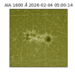 saia - 2026-02-04T05:00:14.118000