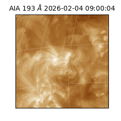 saia - 2026-02-04T09:00:04.843000