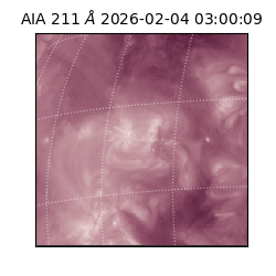 saia - 2026-02-04T03:00:09.632000