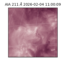 saia - 2026-02-04T11:00:09.630000