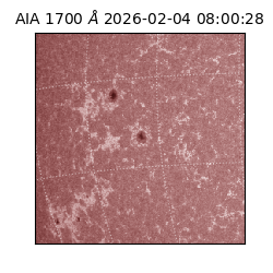 saia - 2026-02-04T08:00:28.718000