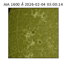 saia - 2026-02-04T03:00:14.134000