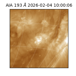 saia - 2026-02-04T10:00:06.228000