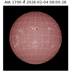 saia - 2026-02-04T08:00:28.718000