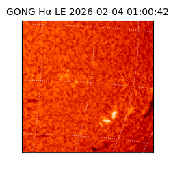 gong - 2026-02-04T01:00:42