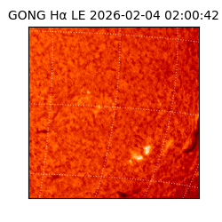 gong - 2026-02-04T02:00:42