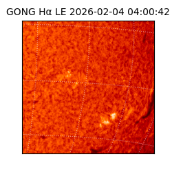 gong - 2026-02-04T04:00:42
