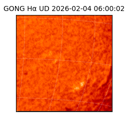 gong - 2026-02-04T06:00:02
