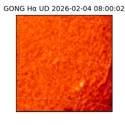 gong - 2026-02-04T08:00:02