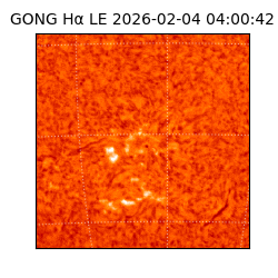 gong - 2026-02-04T04:00:42