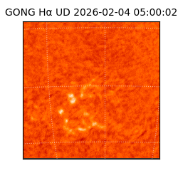 gong - 2026-02-04T05:00:02