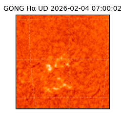 gong - 2026-02-04T07:00:02