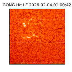 gong - 2026-02-04T01:00:42
