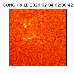 gong - 2026-02-04T02:00:42
