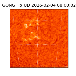 gong - 2026-02-04T08:00:02