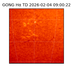 gong - 2026-02-04T09:00:22