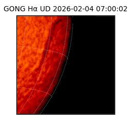 gong - 2026-02-04T07:00:02