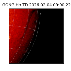 gong - 2026-02-04T09:00:22