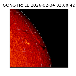 gong - 2026-02-04T02:00:42