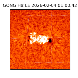 gong - 2026-02-04T01:00:42