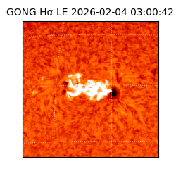 gong - 2026-02-04T03:00:42