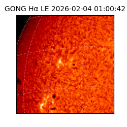 gong - 2026-02-04T01:00:42