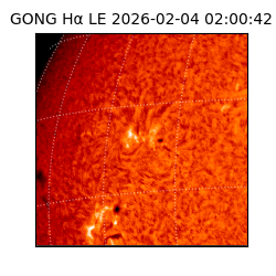 gong - 2026-02-04T02:00:42