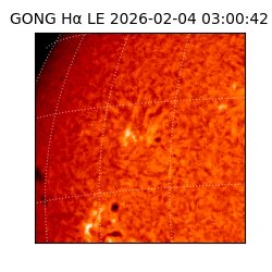 gong - 2026-02-04T03:00:42