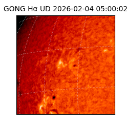 gong - 2026-02-04T05:00:02