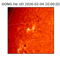 gong - 2026-02-04T10:00:02