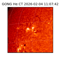 gong - 2026-02-04T11:07:42